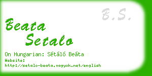 beata setalo business card